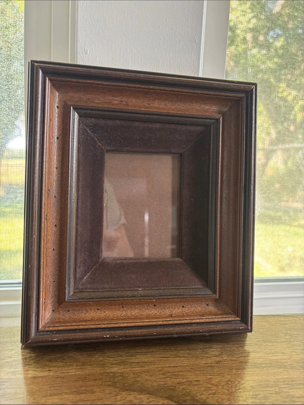 Vintage-Style Wood Picture Frame in Dark Brown Velvet Bordered